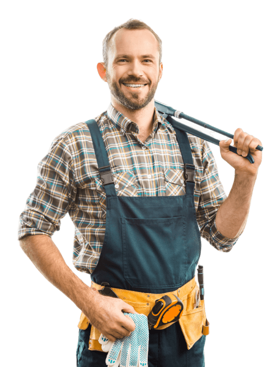 servicio profesional